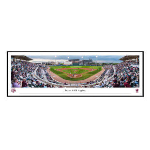 Texas Rangers Panoramic Poster - MLB Fan Cave Decor