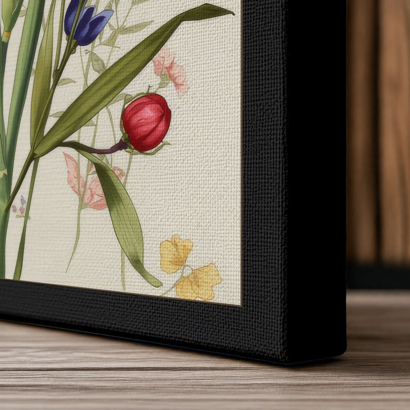 Iris and Specimen Botanical - Wrapped Canvas, 36x24 - 91.4 x 61.0 cm, Black Border