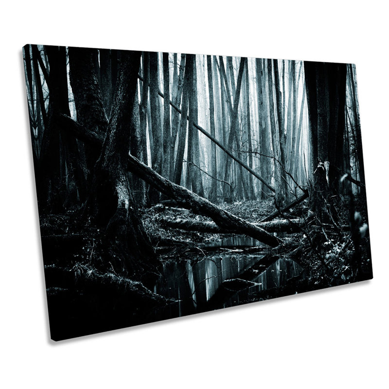 Dark Forest Landscape Trees - Wrapped Canvas Print, 91.4cm H x 137.2cm W x 4cm D