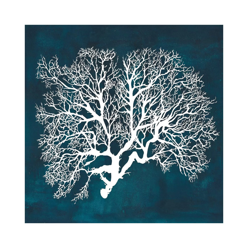 Inverse Sea Fan III by Grace Popp - Wrapped Canvas Print, 30.48 cm H x 30.48 cm W