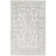 Mann Viscose Oriental Indoor Rug