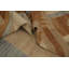 Tapis kilim Earth Tones 10 x 13