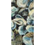 Oyster shells - 24"x48" Framed canvas