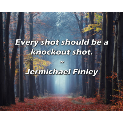 Jermichael Finley Quote: Every shot should be a knockout shot.