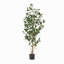 ARBRE DE LAURIER ARTIFIQUE 150CM 150CM