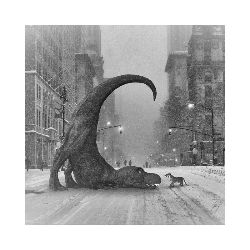 Wanna Play by Kathrin Federer - Wrapped Canvas Print, 66.04 cm H x 66.04 cm W x 1.91 cm D