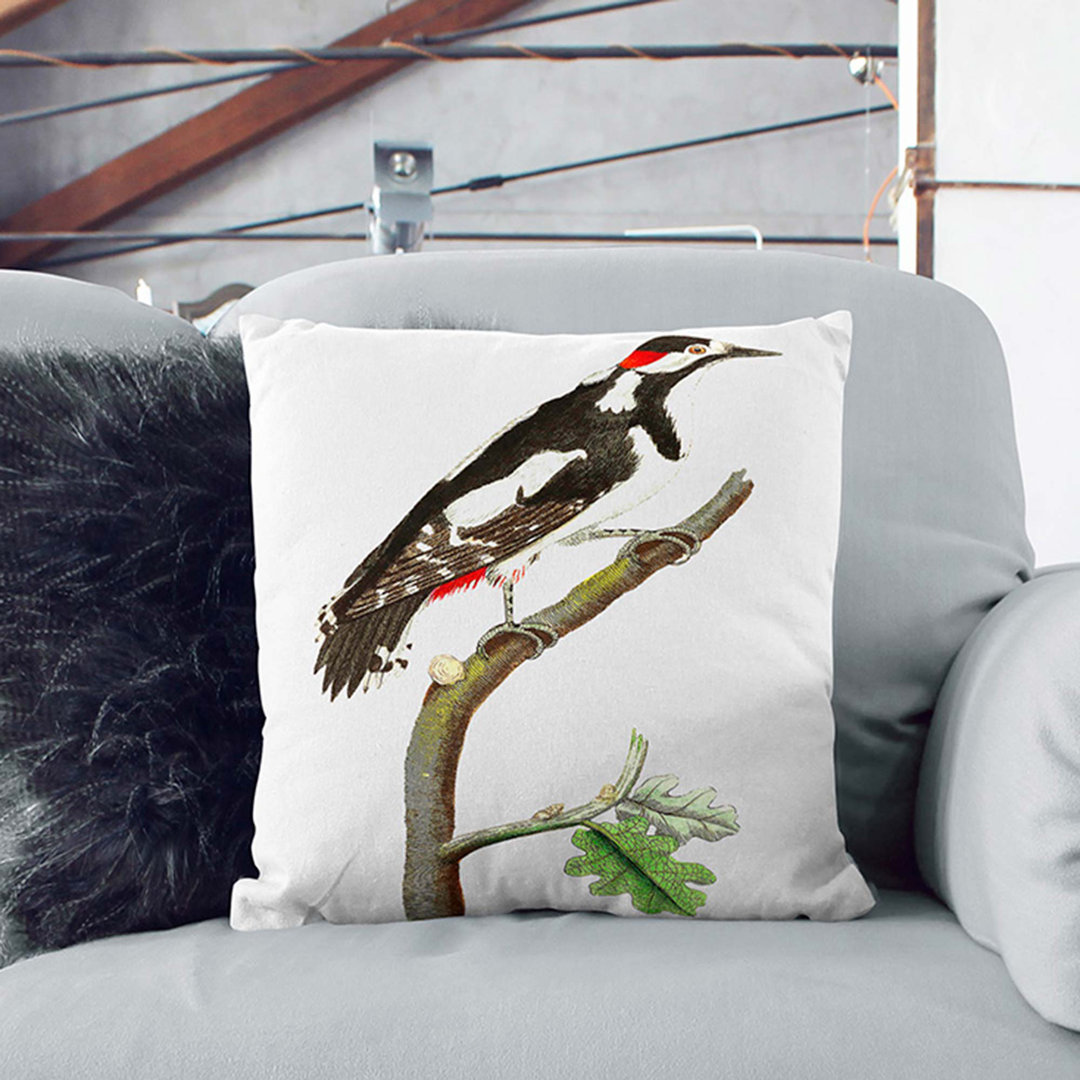 Great-Spotted Woodpecker by George Shaw Cushion with Filling