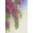 Black Floater Frame is unavailable