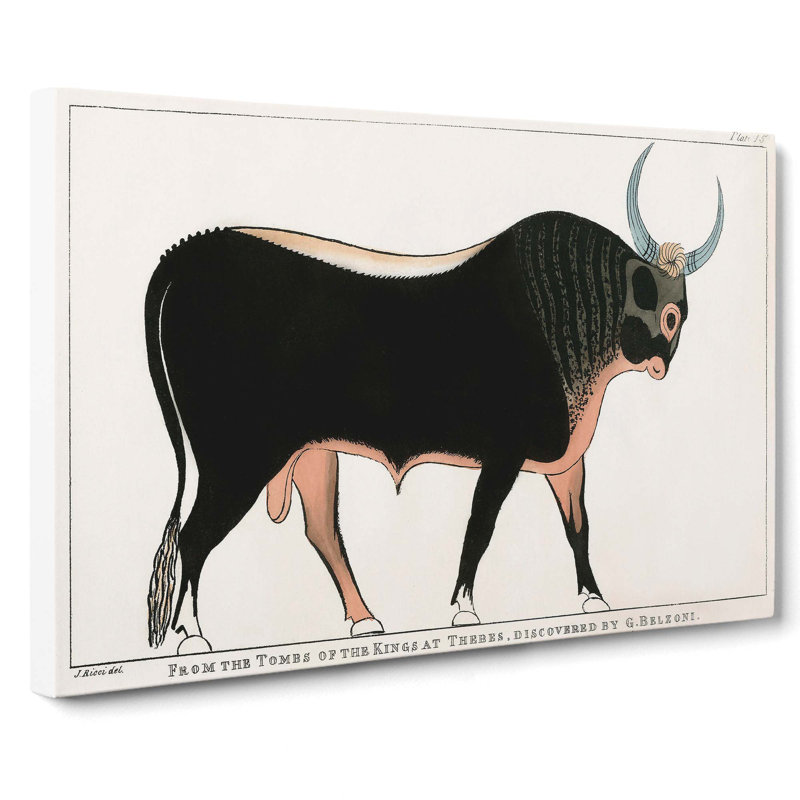 The Apis Bull by G.B. Belzoni - Wrapped Canvas, 35cm H x 50cm W x 3cm D