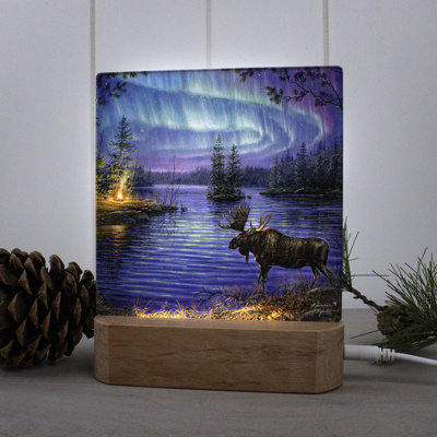 Veilleuse Northern Night