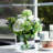 Glass Table Vase-737795114