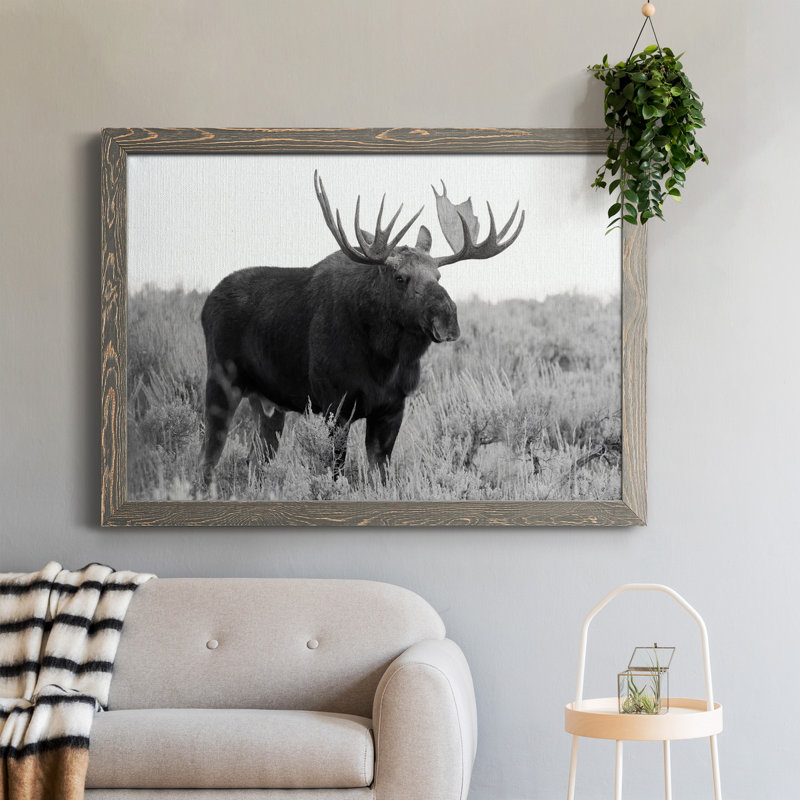 Grand Teton Bull Moose - Photographie de cadre photo sur toile, H 31,5 po x l 23,5 po x P 1,5 po, Gris