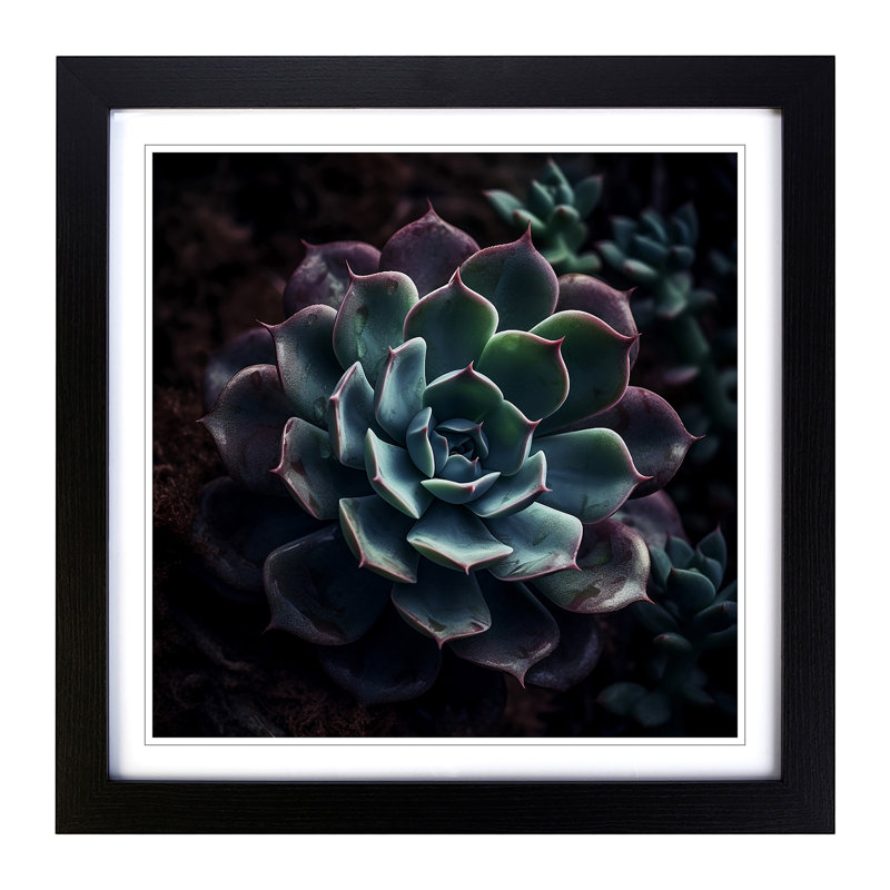 Succulent Photograph No.1 - Single Picture Frame Print on Wood, Black
