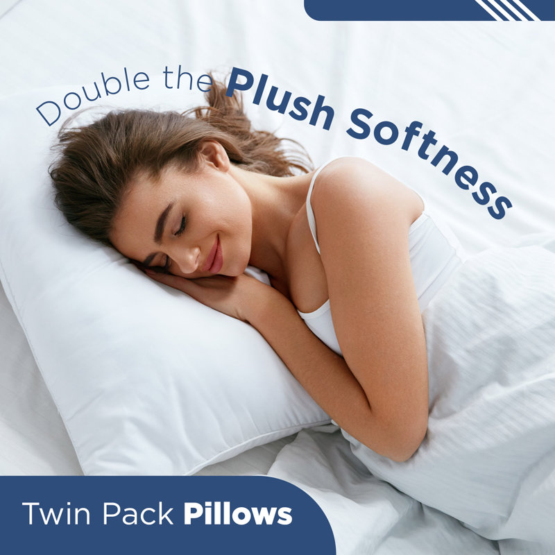 Martex Sweet Dreams Twin Pack Standard Pillow, Standard