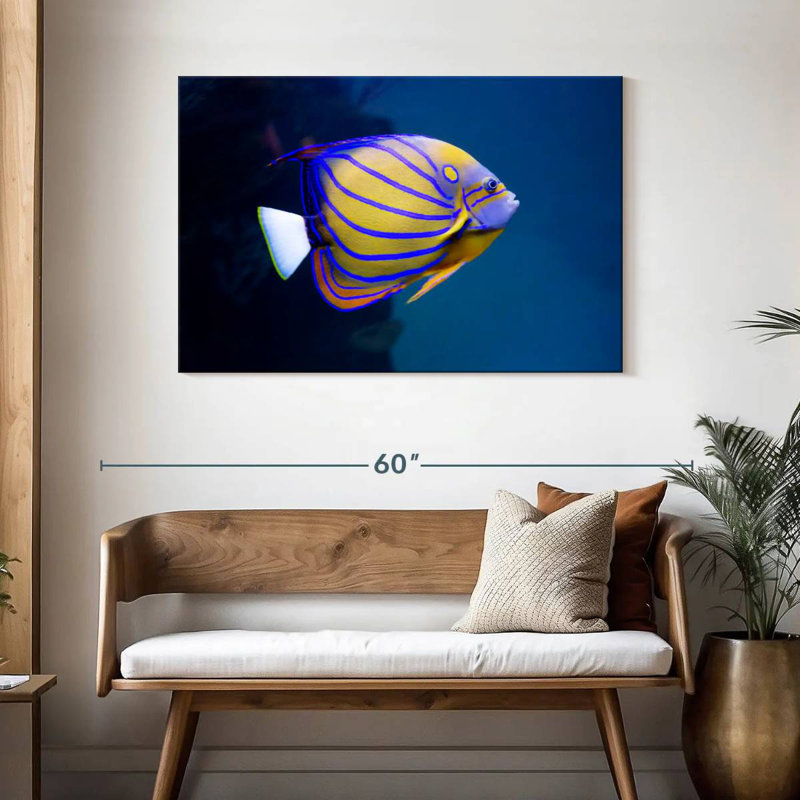 Brampt Colorful Angelfish, 30" H x 45" W