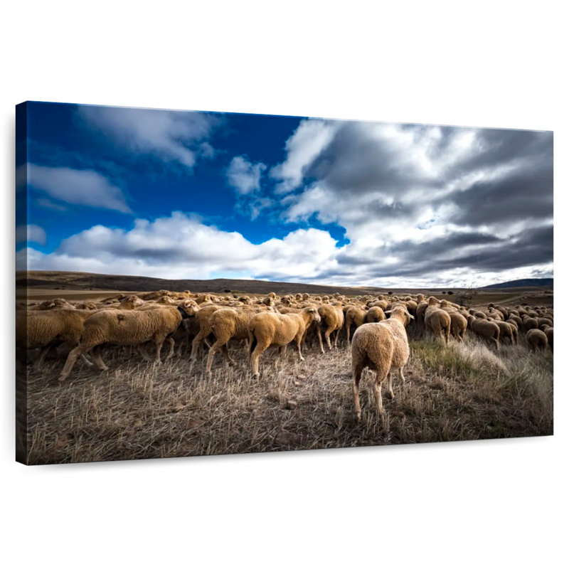Brampt Soria Sheep Flock, 20" H x 30" W