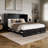 Athena Wood Murphy Bed Chest with 6" Mattress, Storage Drawer, and Built-in Charger-277216828