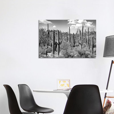 Arizona Series - Saguaro Cactus Forest 1 Piece Wrapped Canvas Wall Art