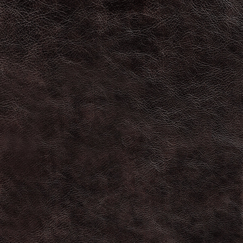 Tryston Top Grain Leather Sofa Couch