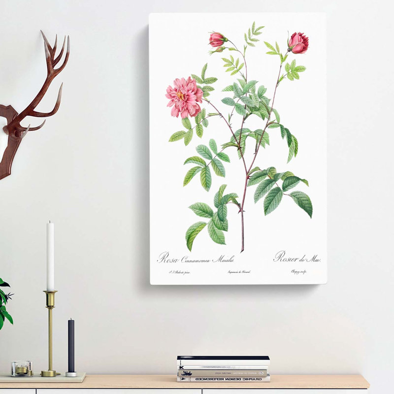 Cinnamon Rose In Pink by Pierre-Joseph Redoute - Wrapped Canvas Painting, 60cm H x 40cm W x 3cm D