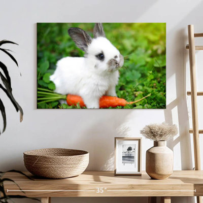 Bunny Eating Carrot
