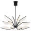 Belterra 38 Chandelier-423539934-423539928