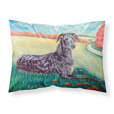  Taie d'oreiller Scottish Deerhound