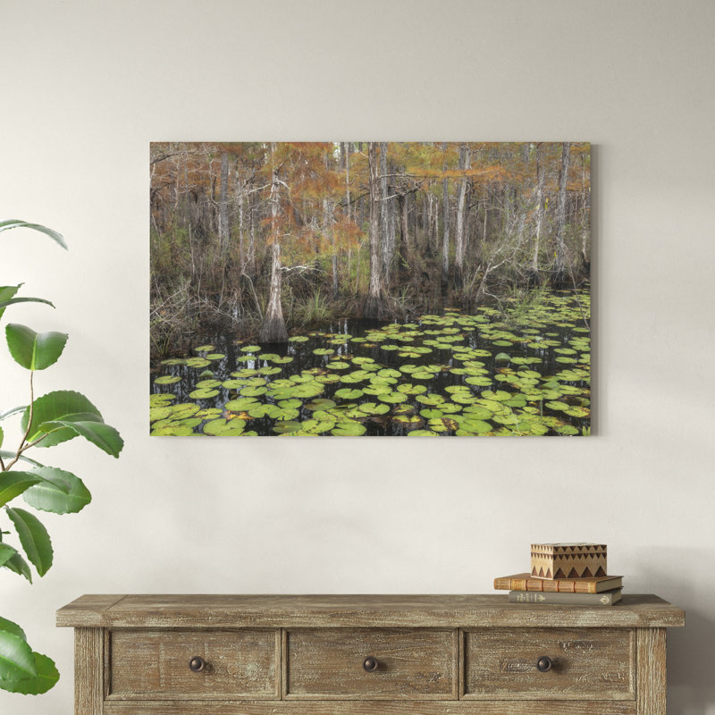 «Bayou Autumn» par Danny Head - reproduction d'art sur toile tendue, H 32 po x l 48 po