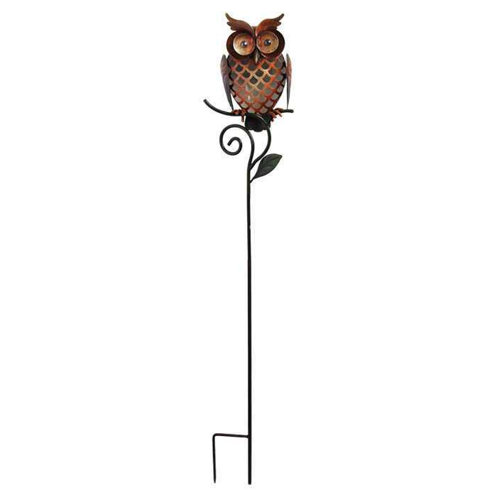 Piquet De Hibou, Orange