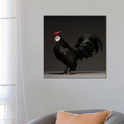 Bantam - Wrapped Canvas Print
