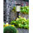 Milla Alabaster Lantern Head-647496373-647496374