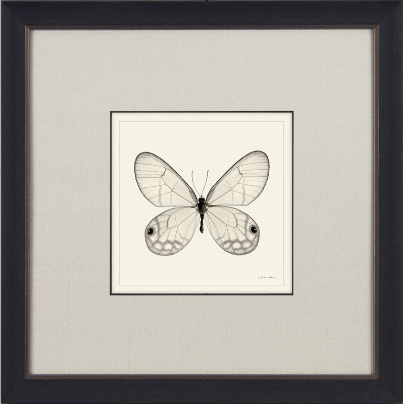 Debras Butterflies III - Single Picture Frame Square Print on Canvas, Framed Paper
