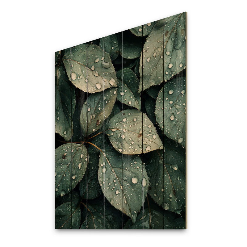 Rainy Day Leaves Collage IV - Impression sur bois de feuilles - sur bois de pin naturel, H 40 po x l 30 po x P 0,78 po
