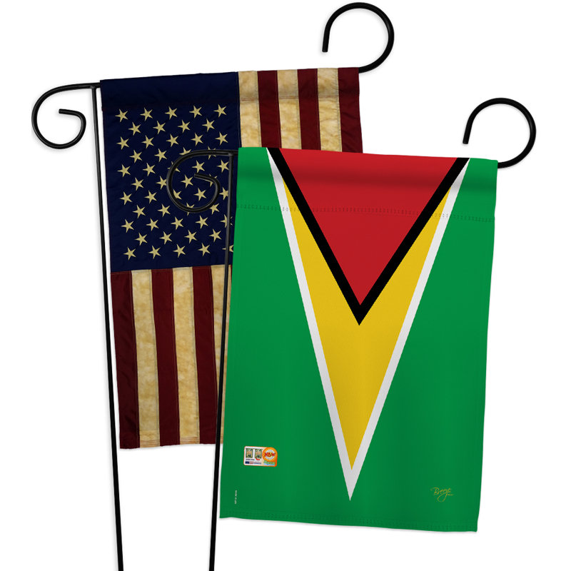 Ensemble de drapeaux décoratifs en polyester 2 faces 19 x 13 po 2 pièces guyana impressions