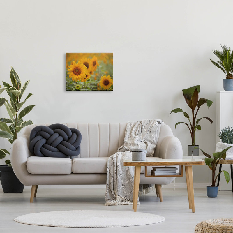 Art de giclée par Lil 'Rue, H 16 po x l 20 po x P 1,5 po, Giclée encadrée noir minuit