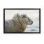 Cadre flottant profond Portrait de mouton, design par Martin Podt-1030455472-1030455478