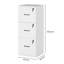 41 Wide File Cabinet