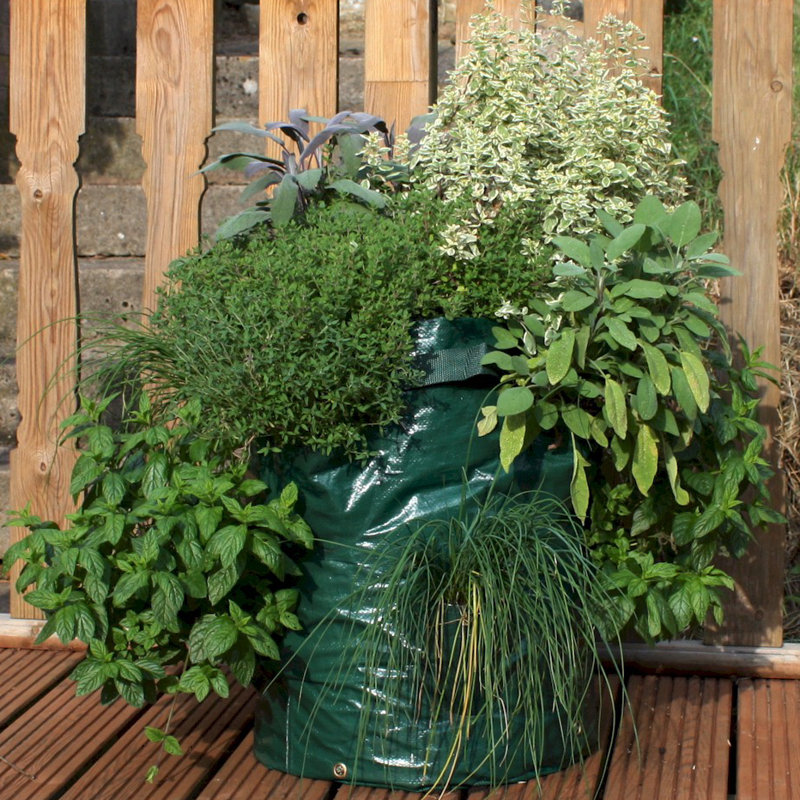Cuvier Herb Planter