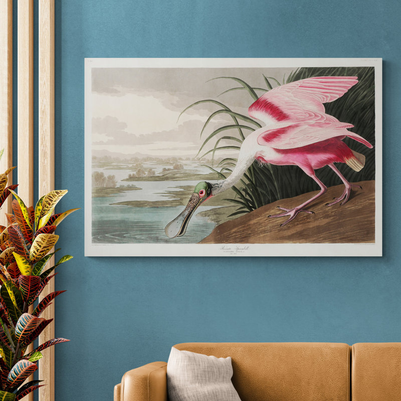 Roseate Spoonbill by John Audubon - Wrapped Canvas Print, 81cm H x 117cm W