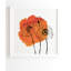 « orange pops », impression-22036951-22036908