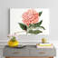 Peony Blush II by Curtis - Painting Print-1626601371-1700806384
