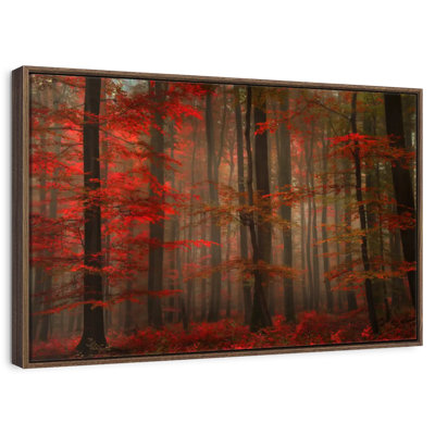 Fiery Autumn Forest
