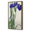 Blue Iris Print by Grand Archives