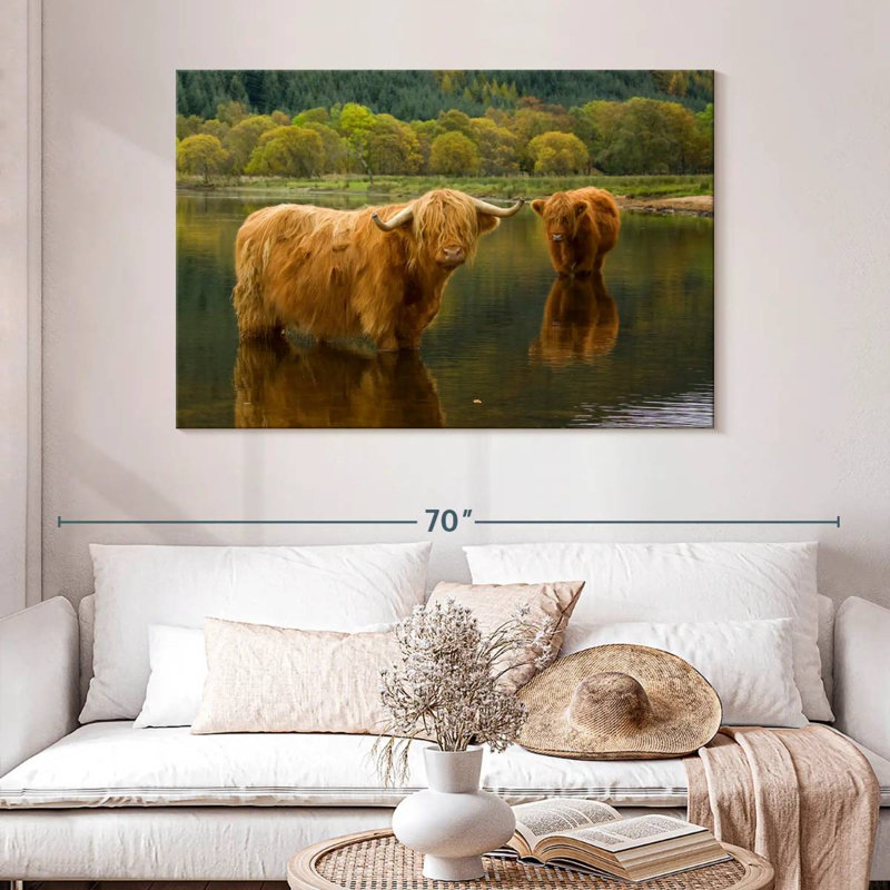 Brampt Bathing Highland Cow