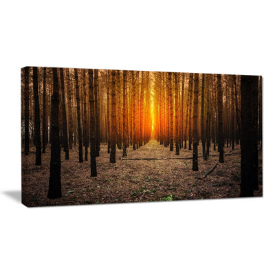 " Halloween-Themed Spooky Dark Forest "
