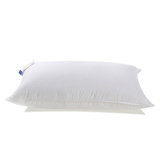 Firm Support Down Feather Combo Pillow