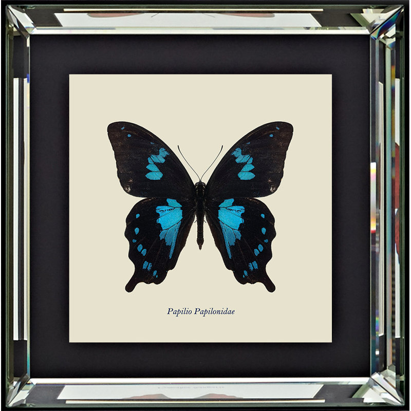 Single Picture Frame Print