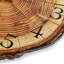 Vintage Farmhouse Tree-Stump Wall Clock, 12-Inch Rustic Brown Wooden Wall Clock with Annual Ring Texture, Silent Non-Ticking Battery-Powered Clock with Thickened MDF Dial for Living Room and Kitchen