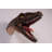 Velociraptor Dinosaur Head Life Size Statue