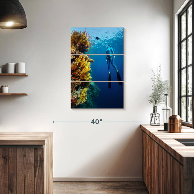 Sireci Coral Reef Freediving, 38" H x 24" W